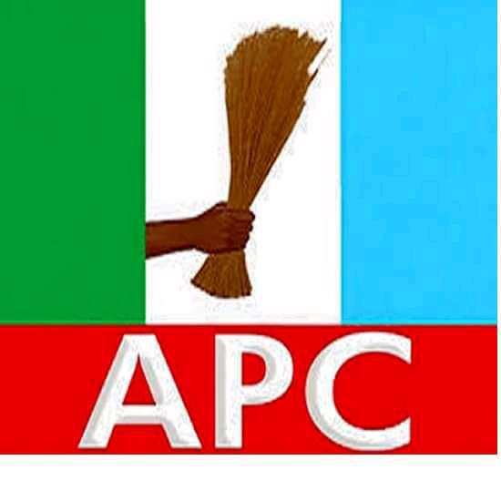 APC sweeps Lagos council poll - YabaCity